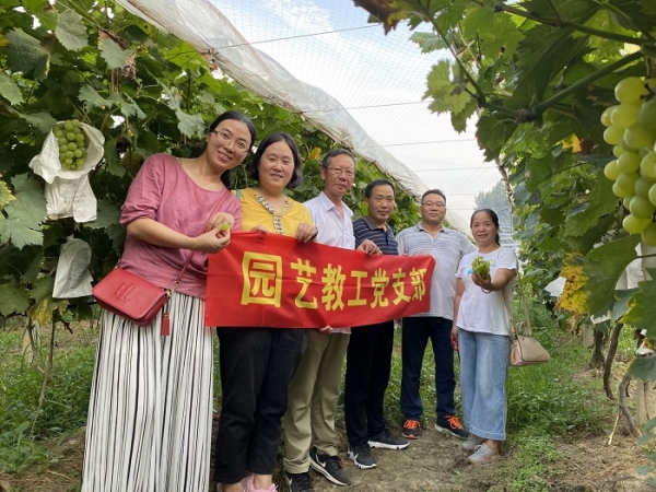 国产成人精品一区二区三区