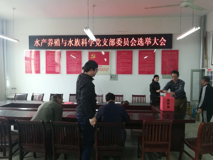国产成人精品一区二区三区