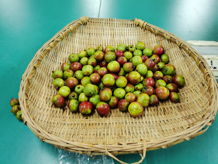 国产成人精品一区二区三区