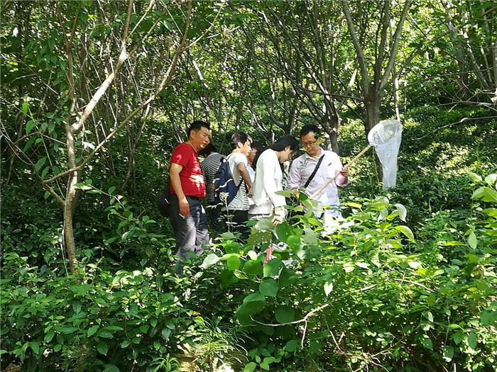 国产成人精品一区二区三区