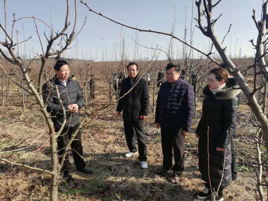 国产成人精品一区二区三区