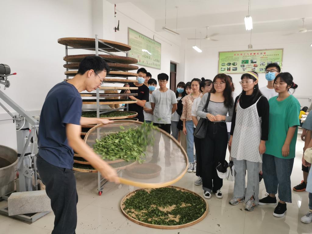 国产成人精品一区二区三区
