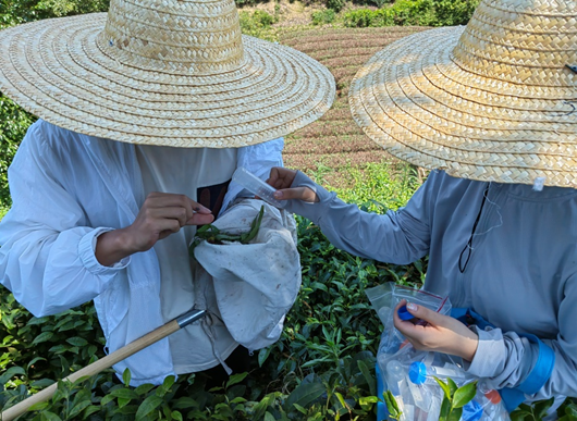 国产成人精品一区二区三区