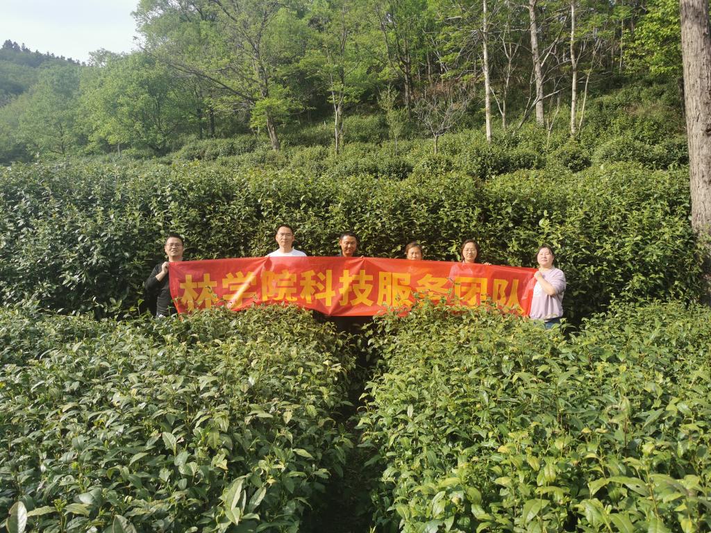 国产成人精品一区二区三区