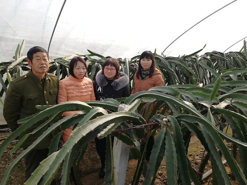 国产成人精品一区二区三区