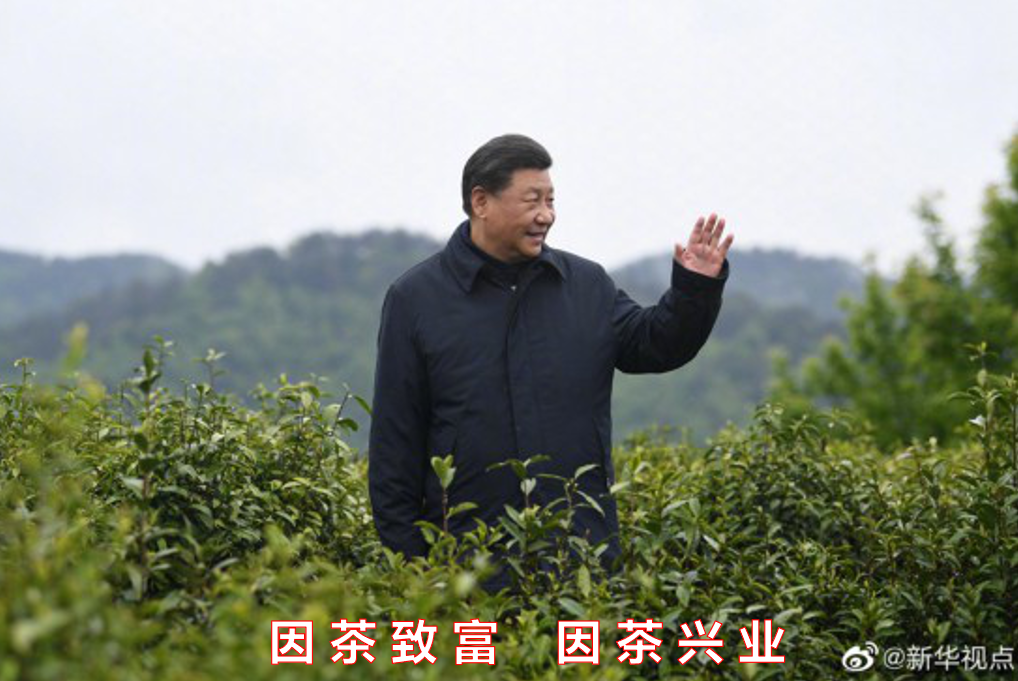 国产成人精品一区二区三区