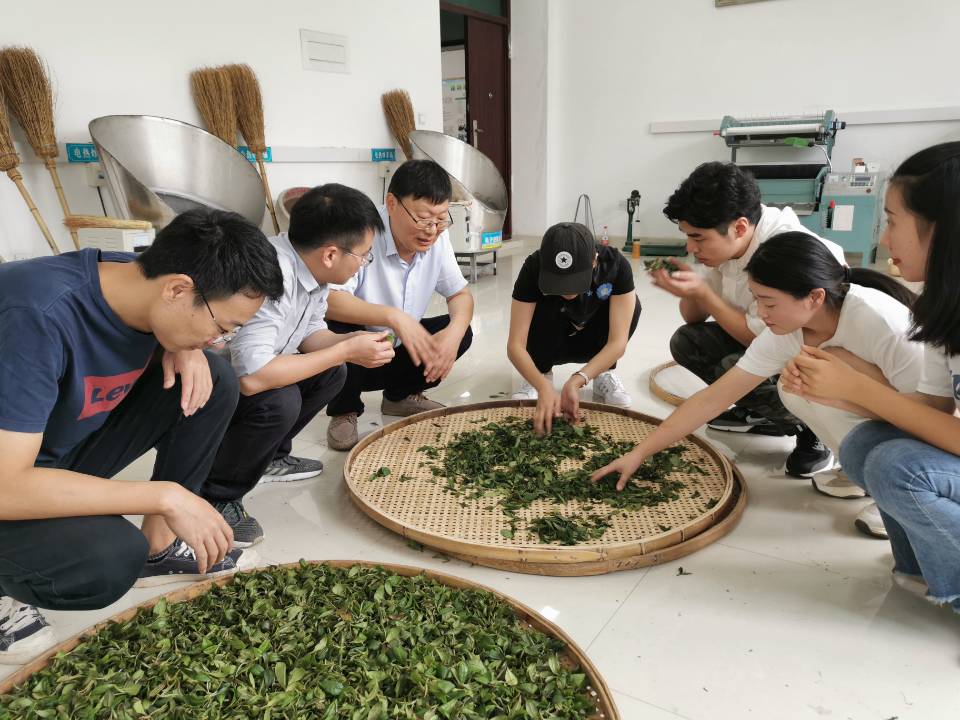 国产成人精品一区二区三区
