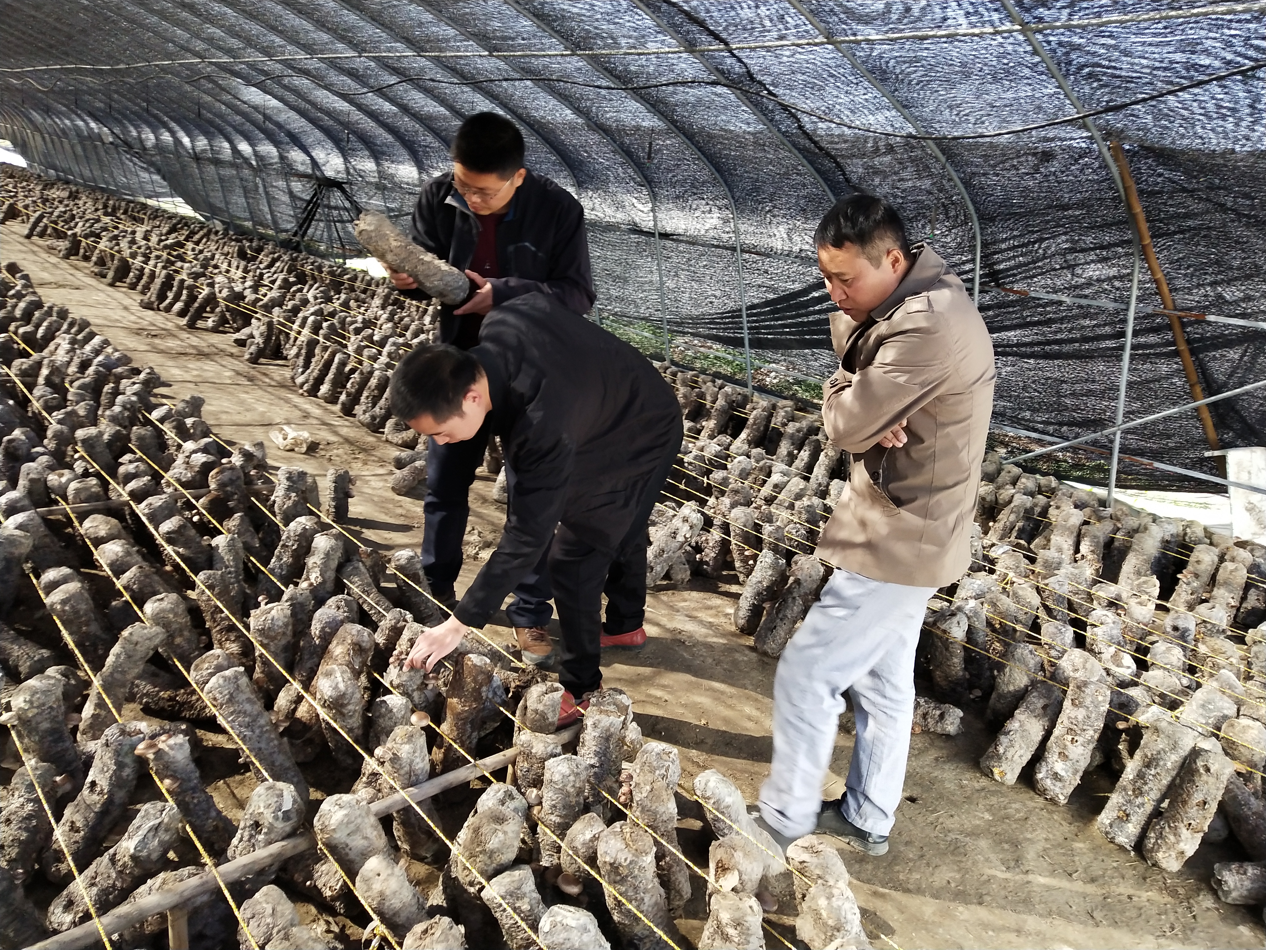 国产成人精品一区二区三区