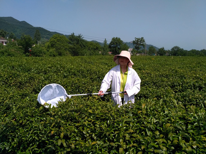 国产成人精品一区二区三区