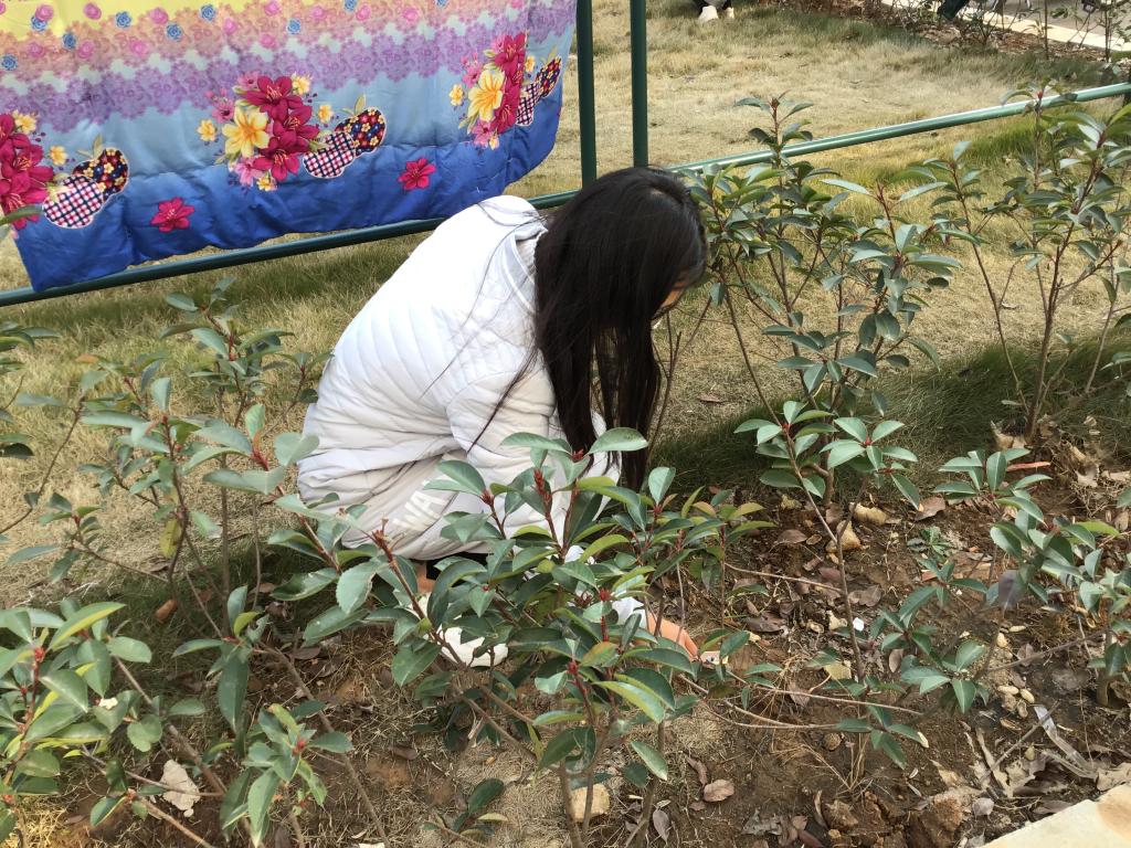 国产成人精品一区二区三区