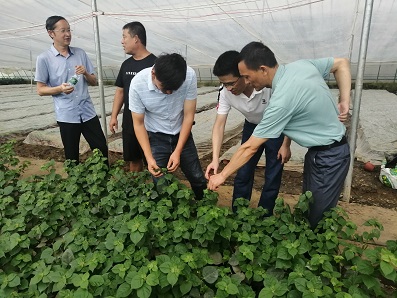 国产成人精品一区二区三区