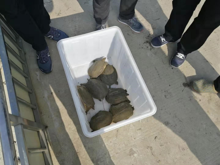 国产成人精品一区二区三区