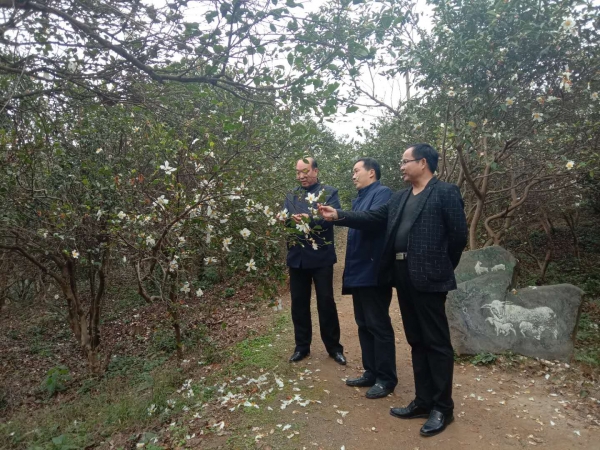 国产成人精品一区二区三区