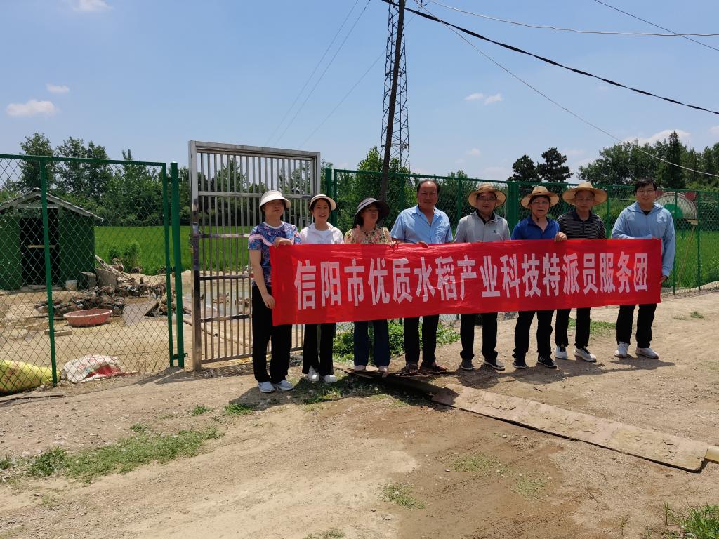 国产成人精品一区二区三区