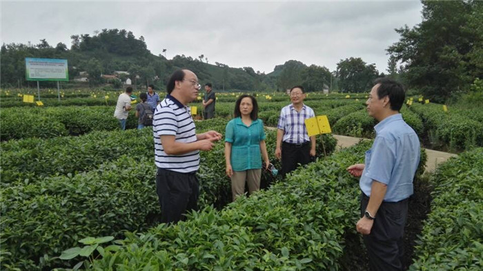 国产成人精品一区二区三区