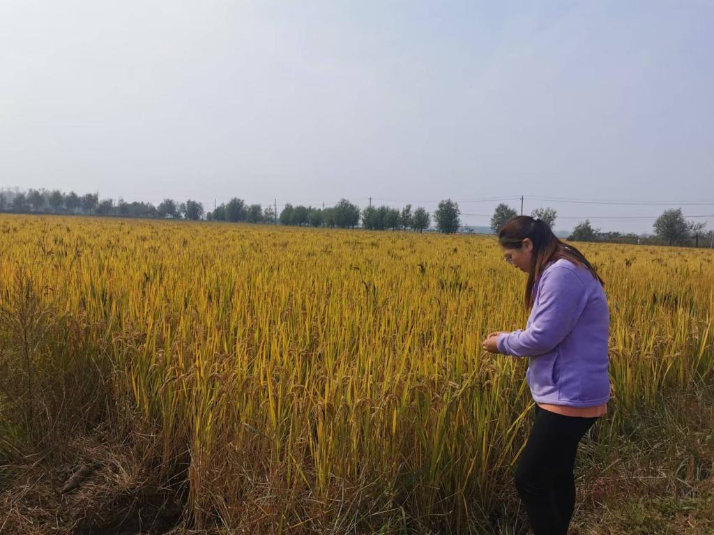 国产成人精品一区二区三区