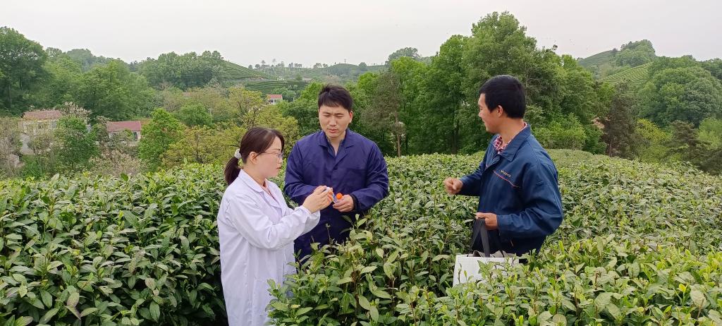 国产成人精品一区二区三区