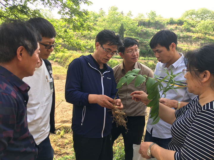 国产成人精品一区二区三区
