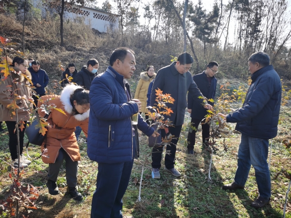 国产成人精品一区二区三区