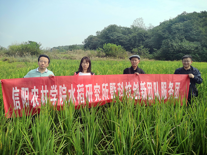 国产成人精品一区二区三区