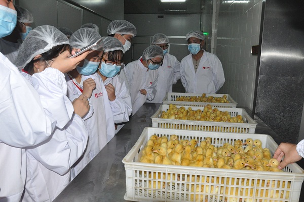 国产成人精品一区二区三区