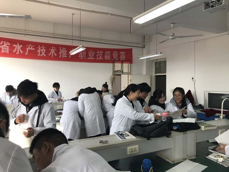 国产成人精品一区二区三区
