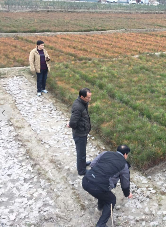 国产成人精品一区二区三区