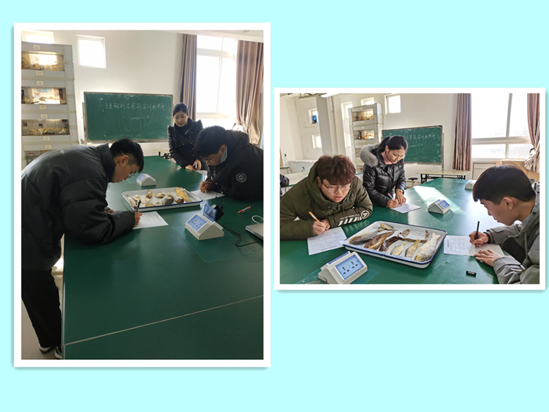国产成人精品一区二区三区