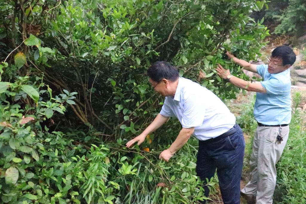 国产成人精品一区二区三区