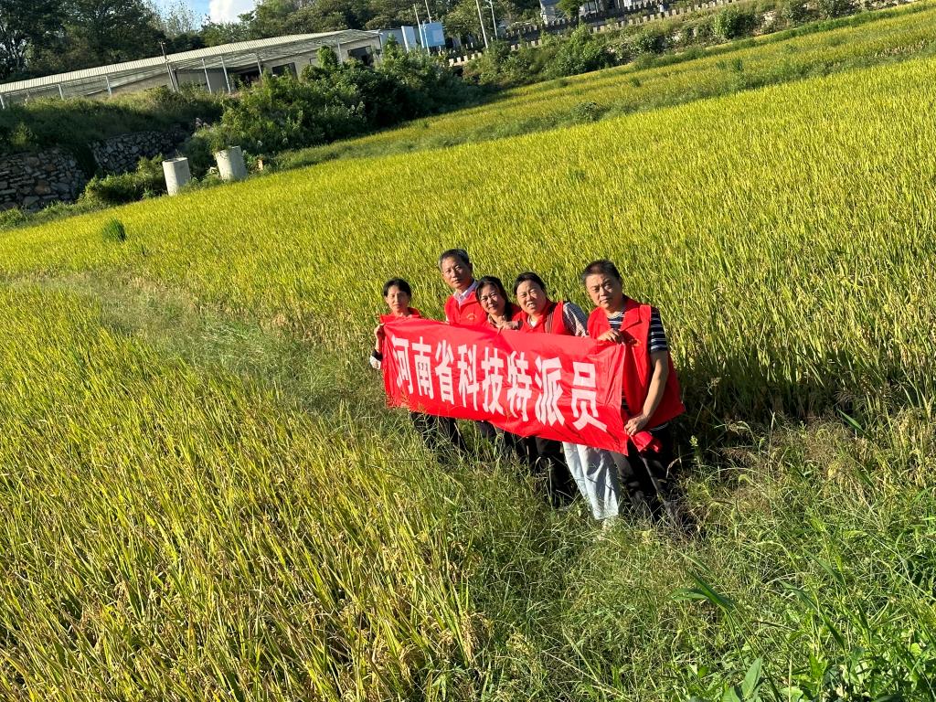 国产成人精品一区二区三区