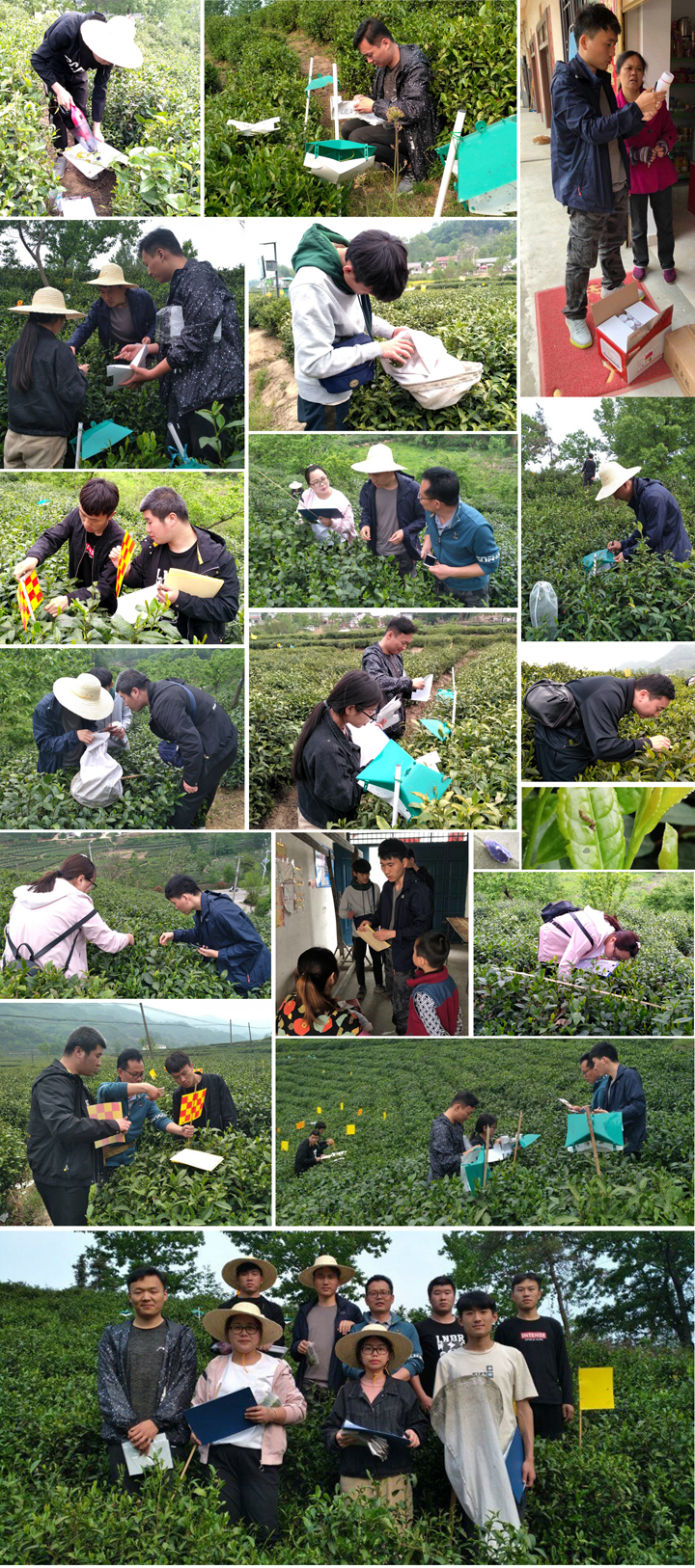 国产成人精品一区二区三区