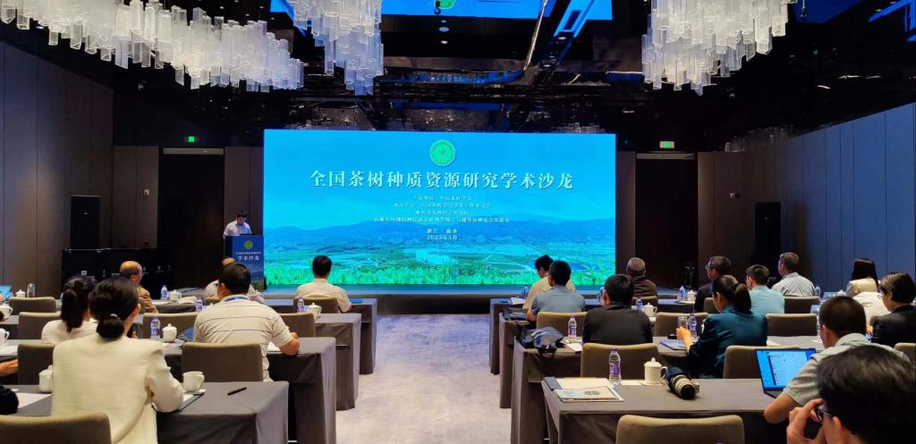 国产成人精品一区二区三区