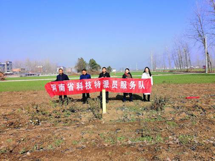 国产成人精品一区二区三区