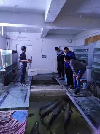 国产成人精品一区二区三区