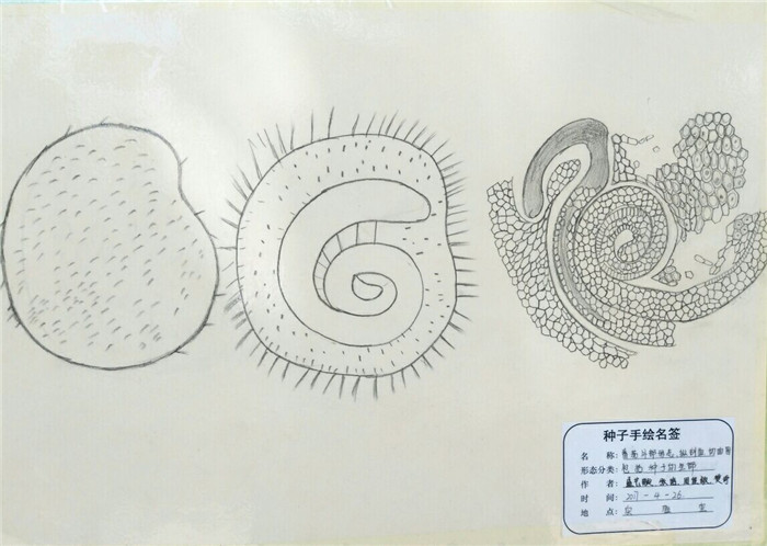 国产成人精品一区二区三区