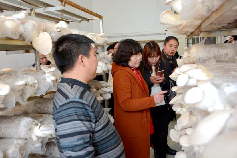 国产成人精品一区二区三区