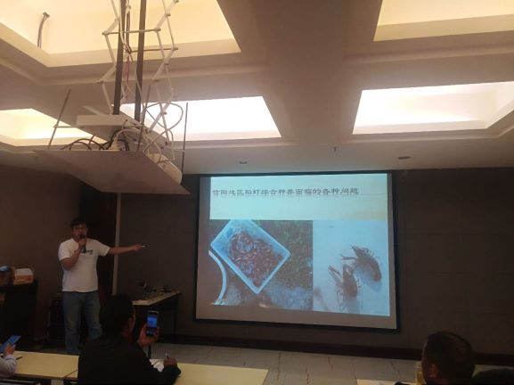 国产成人精品一区二区三区