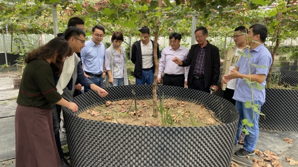 国产成人精品一区二区三区