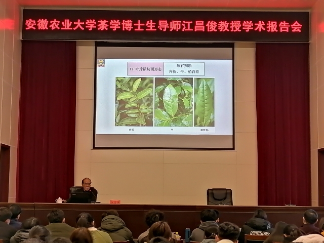 国产成人精品一区二区三区