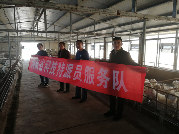国产成人精品一区二区三区