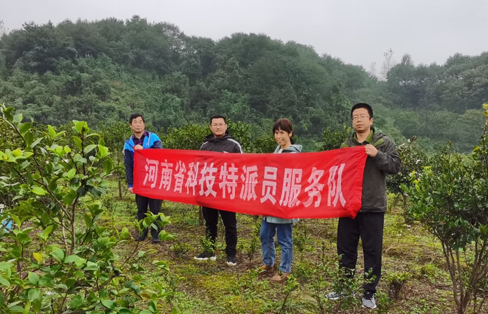 国产成人精品一区二区三区