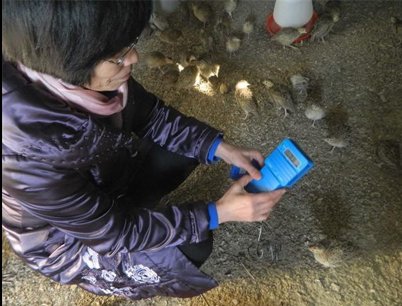 国产成人精品一区二区三区