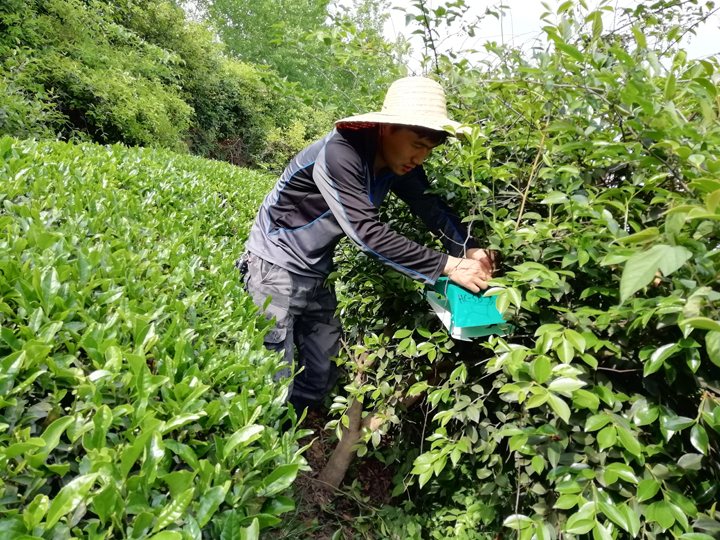 国产成人精品一区二区三区
