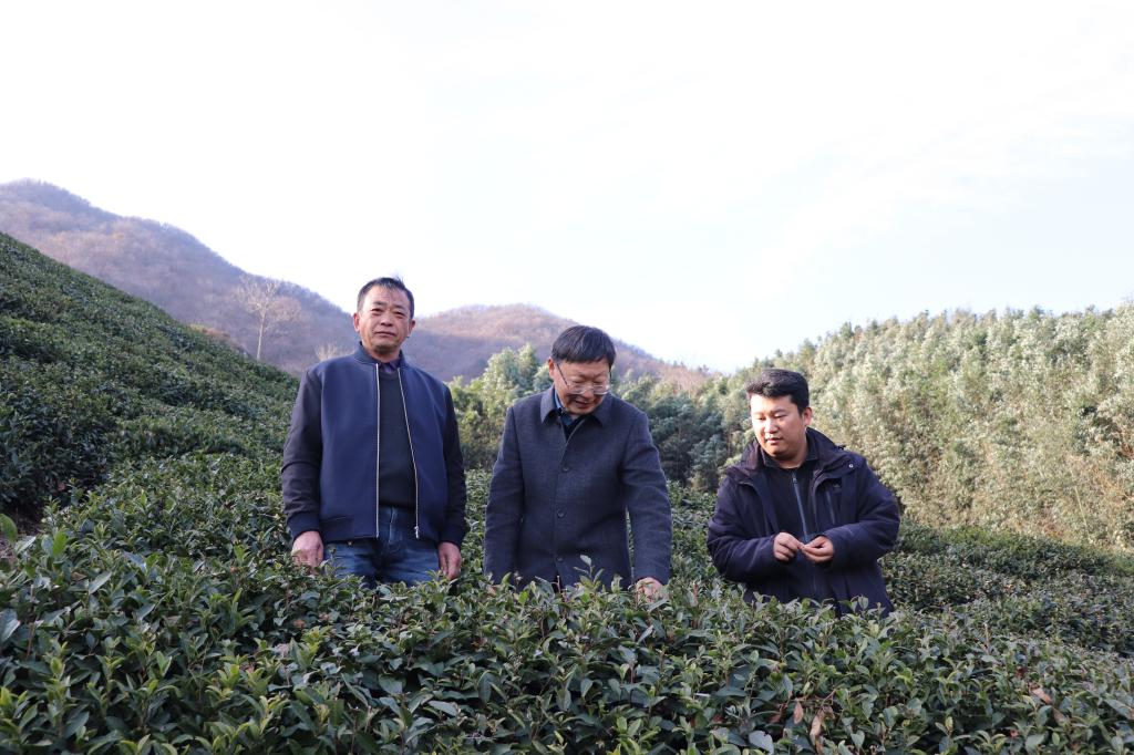 国产成人精品一区二区三区