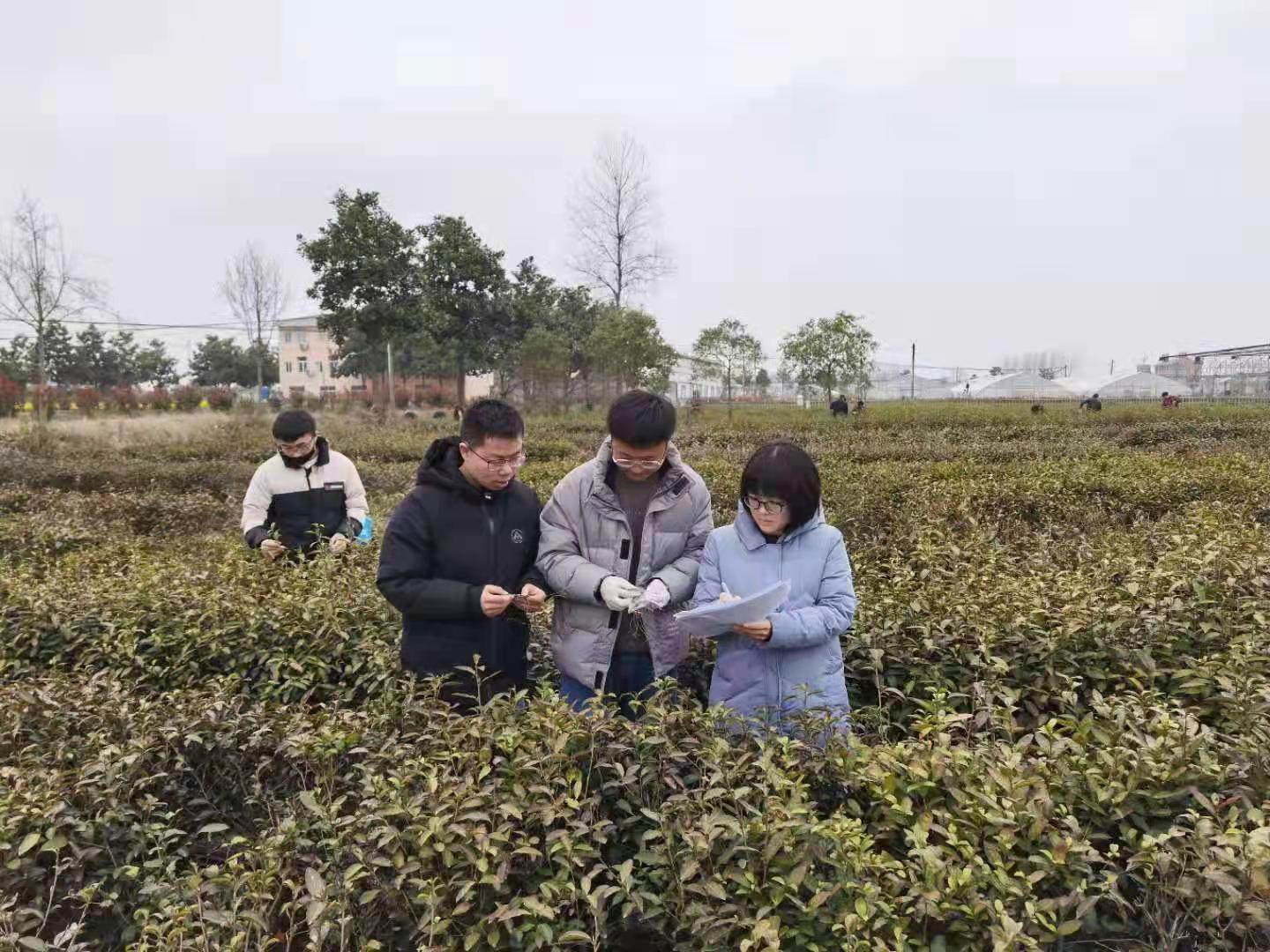 国产成人精品一区二区三区