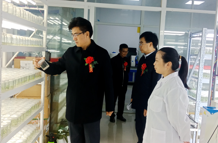 国产成人精品一区二区三区