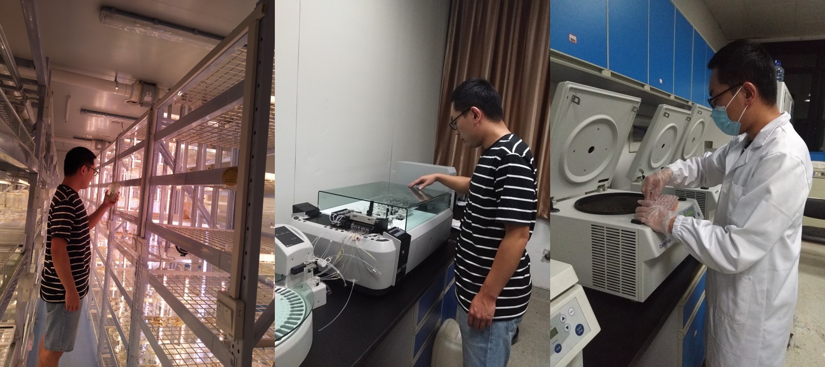国产成人精品一区二区三区