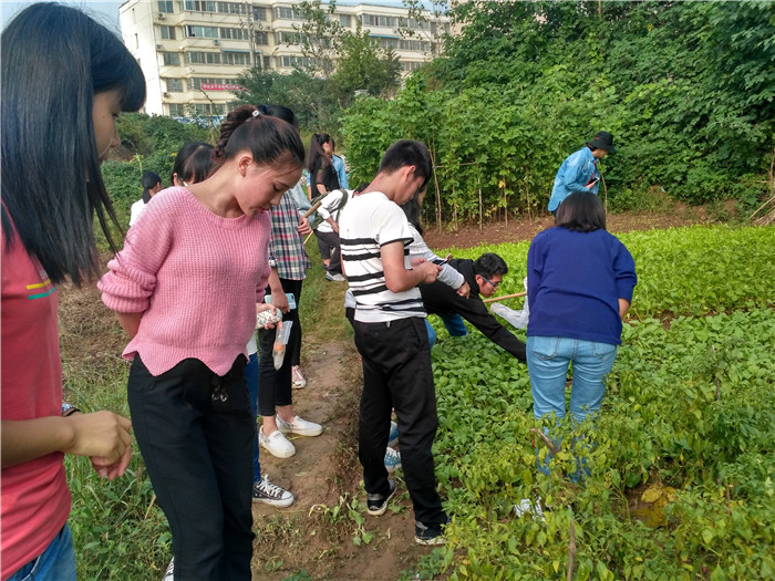 国产成人精品一区二区三区