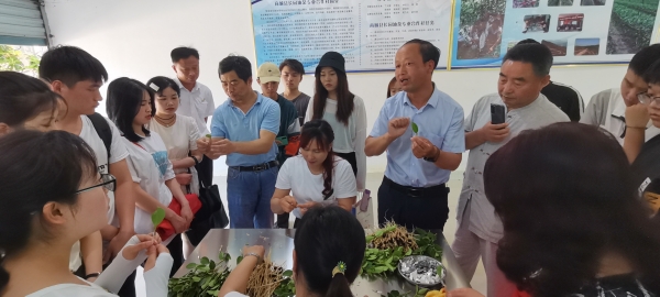 国产成人精品一区二区三区
