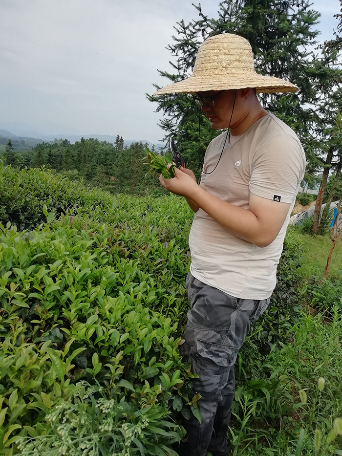 国产成人精品一区二区三区